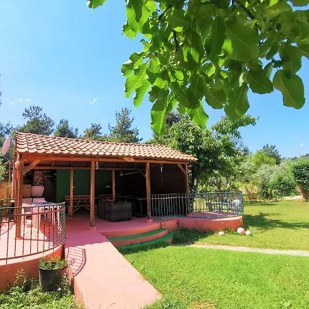 Zako 4* リメナリア