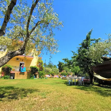 Zako リメナリア